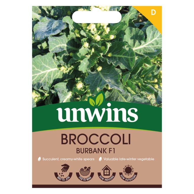 5051618034432 1 Broccoli Burbank F1 Seeds.jpg